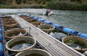 ODTÜ, Mikroplastiklerin Ekolojik Etkisini İnceliyor