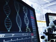 ODTÜ araştırmacılarından Current Biology’de yeni makale