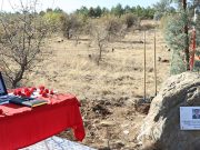 ODTÜ Arazisi Üç Bin Fidanla Buluştu