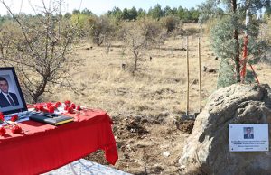 Three Thousand Saplings Planted in METU