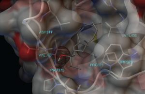 Assoc. Prof. Çağdaş Devrim Son and his team work to discover possible treatments for COVID-19 using anti-viral fragrance molecules