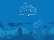 ODTÜ ve TÜBİTAK ev sahipliğinde, Ufuk 2020 Black Sea CONNECT projesi Karadeniz Stratejik Araştırma ve Yenilik Gündemi çevrim içi çalıştayı gerçekleştirildi