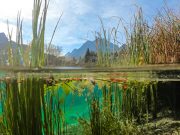 ODTÜ ekibinin çalışması yüksek etki faktörlü Global Change Biology’de yayımlandı