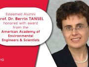 Prof. Berrin Tansel wins AAEES Award