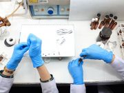 Applications open for Undergraduate Research Projects