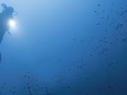 “The Mediterranean, A Sea Under Pressure” event to be held