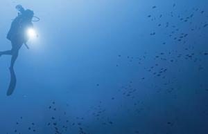 “Akdeniz, Baskı Altında Bir Deniz” konferansı düzenleniyor