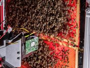 METU’s robotic system for tracking beehives featured on the cover of Science Robotics journal