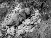 “Kadın Merkezli” ve Topluluk Odaklı: Genom çalışması, antik Anadolu köyündeki yaşam tarzlarını ortaya koyuyor